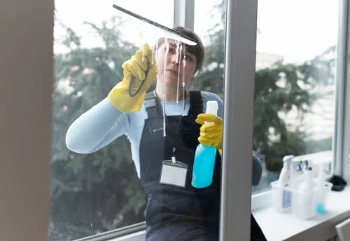 Nettoyage de vitres intérieures et extérieures à Belz